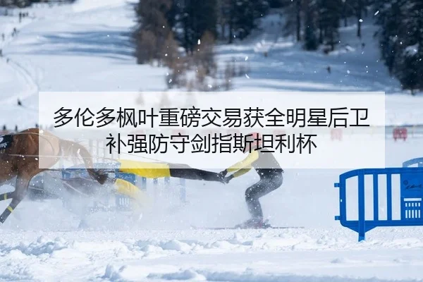 多伦多枫叶重磅交易获全明星后卫 补强防守剑指斯坦利杯